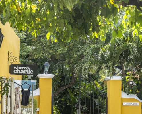 Was für ein Ritt006