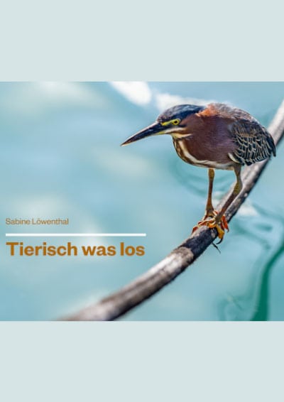 eBook Tierisch was los